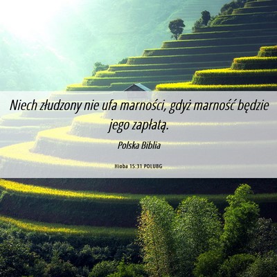 Picture 06 - Hioba 15:31 POLUBG - Niech złudzony nie ufa marności, gdyż - Bible Verse Picture
