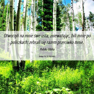Picture 06 - Hioba 16:10 POLUBG - Otworzyli na mnie swe usta; znieważając, bili - Bible Verse Picture