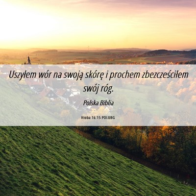 Picture 06 - Hioba 16:15 POLUBG - Uszyłem wór na swoją skórę i prochem - Bible Verse Picture