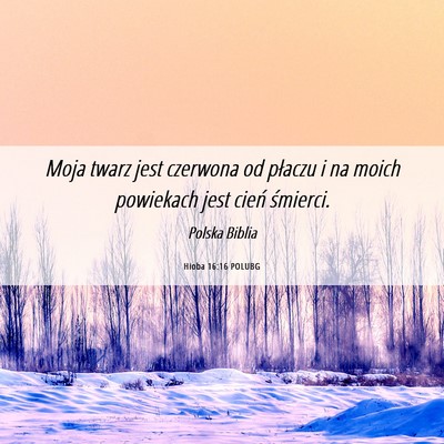 Picture 06 - Hioba 16:16 POLUBG - Moja twarz jest czerwona od płaczu i na moich - Bible Verse Picture