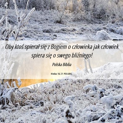 Picture 06 - Hioba 16:21 POLUBG - Oby ktoś spierał się z Bogiem o człowieka jak - Bible Verse Picture