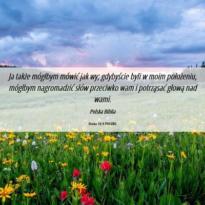 Picture 06 - Hioba 16:4 POLUBG - Ja także mógłbym mówić jak wy; gdybyście - Bible Verse Picture
