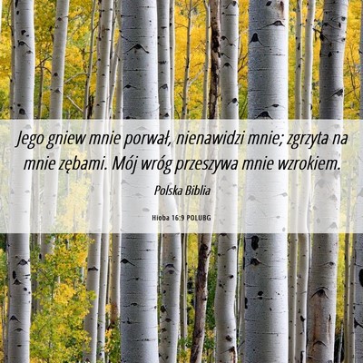 Picture 06 - Hioba 16:9 POLUBG - Jego gniew mnie porwał, nienawidzi mnie; zgrzyta - Bible Verse Picture