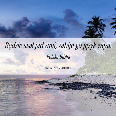 Picture 06 - Hioba 20:16 POLUBG - Będzie ssał jad żmii, zabije go język - Bible Verse Picture