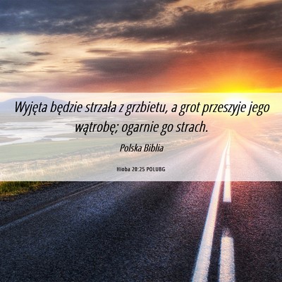 Picture 06 - Hioba 20:25 POLUBG - Wyjęta będzie strzała z grzbietu, a grot - Bible Verse Picture