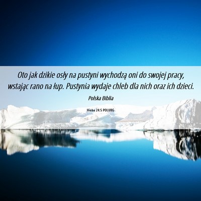 Picture 06 - Hioba 24:5 POLUBG - Oto jak dzikie osły na pustyni wychodzą oni do - Bible Verse Picture