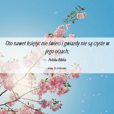 Picture 06 - Hioba 25:5 POLUBG - Oto nawet księżyc nie świeci i gwiazdy nie są - Bible Verse Picture