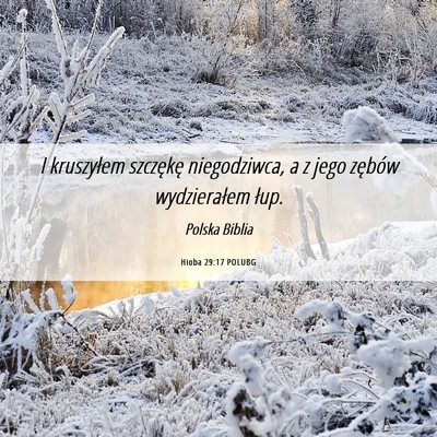 Picture 06 - Hioba 29:17 POLUBG - I kruszyłem szczękę niegodziwca, a z jego - Bible Verse Picture