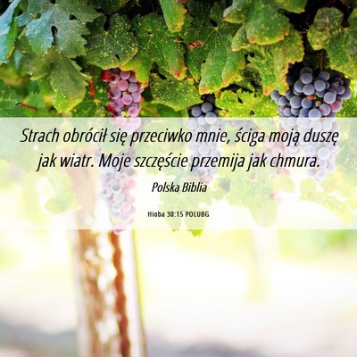 Picture 06 - Hioba 30:15 POLUBG - Strach obrócił się przeciwko mnie, ściga - Bible Verse Picture