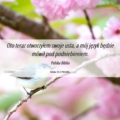Picture 06 - Hioba 33:2 POLUBG - Oto teraz otworzyłem swoje usta, a mój język - Bible Verse Picture