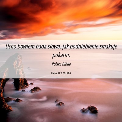Picture 06 - Hioba 34:3 POLUBG - Ucho bowiem bada słowa, jak podniebienie smakuje - Bible Verse Picture