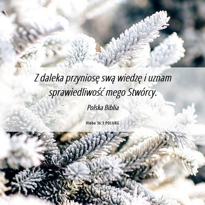 Picture 06 - Hioba 36:3 POLUBG - Z daleka przyniosę swą wiedzę i uznam - Bible Verse Picture