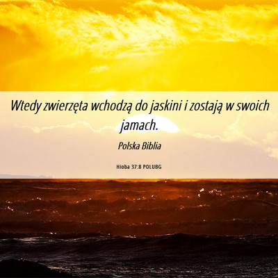 Picture 06 - Hioba 37:8 POLUBG - Wtedy zwierzęta wchodzą do jaskini i zostają w - Bible Verse Picture