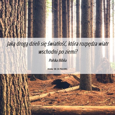 Picture 06 - Hioba 38:24 POLUBG - Jaką drogą dzieli się światłość, która - Bible Verse Picture