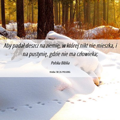 Picture 06 - Hioba 38:26 POLUBG - Aby padał deszcz na ziemię, w której nikt nie - Bible Verse Picture
