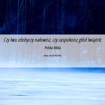 Picture 06 - Hioba 38:39 POLUBG - Czy lwu zdobyczy nałowisz, czy zaspokoisz głód - Bible Verse Picture