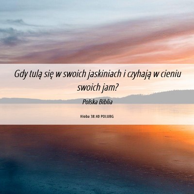 Picture 06 - Hioba 38:40 POLUBG - Gdy tulą się w swoich jaskiniach i czyhają w - Bible Verse Picture