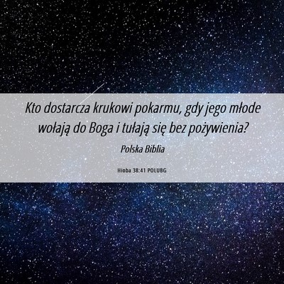 Picture 06 - Hioba 38:41 POLUBG - Kto dostarcza krukowi pokarmu, gdy jego młode - Bible Verse Picture
