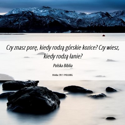 Picture 06 - Hioba 39:1 POLUBG - Czy znasz porę, kiedy rodzą górskie kozice? - Bible Verse Picture