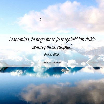 Picture 06 - Hioba 39:15 POLUBG - I zapomina, że noga może je rozgnieść lub - Bible Verse Picture