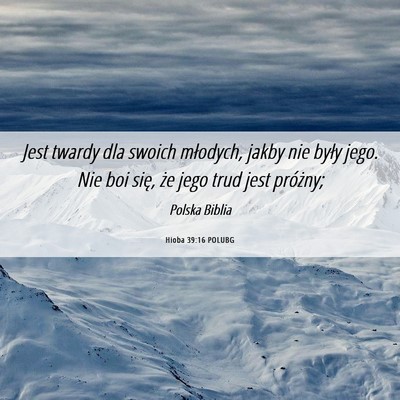 Picture 06 - Hioba 39:16 POLUBG - Jest twardy dla swoich młodych, jakby nie były - Bible Verse Picture