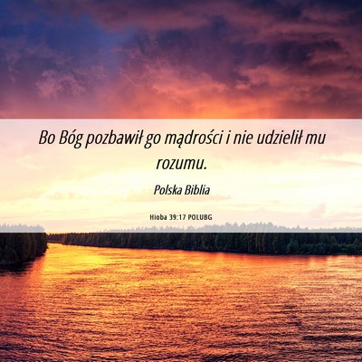 Picture 06 - Hioba 39:17 POLUBG - Bo Bóg pozbawił go mądrości i nie udzielił - Bible Verse Picture