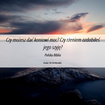Picture 06 - Hioba 39:19 POLUBG - Czy możesz dać koniowi moc? Czy rżeniem - Bible Verse Picture