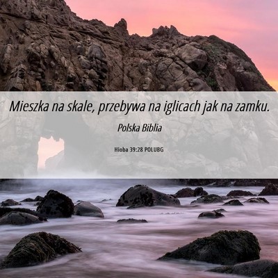 Picture 06 - Hioba 39:28 POLUBG - Mieszka na skale, przebywa na iglicach jak na - Bible Verse Picture