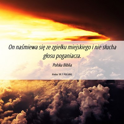Picture 06 - Hioba 39:7 POLUBG - On naśmiewa się ze zgiełku miejskiego i nie - Bible Verse Picture