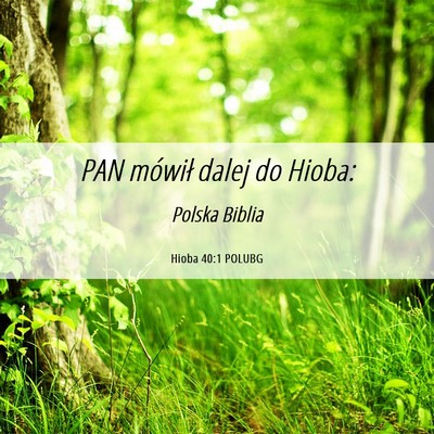 Picture 06 - Hioba 40:1 POLUBG - PAN mówił dalej do - Bible Verse Picture