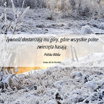 Picture 06 - Hioba 40:20 POLUBG - Żywność dostarczają mu góry, gdzie wszystkie - Bible Verse Picture