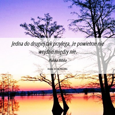 Picture 06 - Hioba 41:16 POLUBG - Jedna do drugiej tak przylega, że powietrze nie - Bible Verse Picture