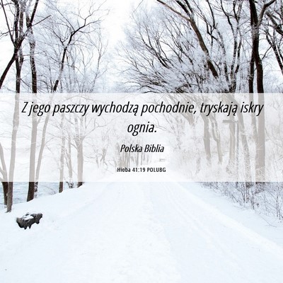 Picture 06 - Hioba 41:19 POLUBG - Z jego paszczy wychodzą pochodnie, tryskają - Bible Verse Picture