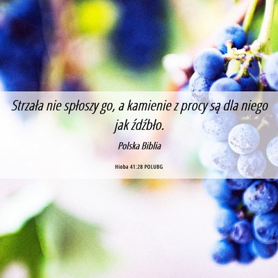 Picture 06 - Hioba 41:28 POLUBG - Strzała nie spłoszy go, a kamienie z procy są - Bible Verse Picture
