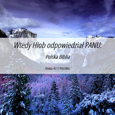 Picture 06 - Hioba 42:1 POLUBG - Wtedy Hiob odpowiedział - Bible Verse Picture