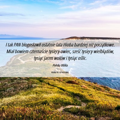 Picture 06 - Hioba 42:12 POLUBG - I tak PAN błogosławił ostatnie lata Hioba - Bible Verse Picture