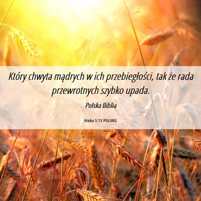 Picture 06 - Hioba 5:13 POLUBG - Który chwyta mądrych w ich przebiegłości, tak - Bible Verse Picture
