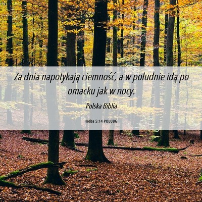 Picture 06 - Hioba 5:14 POLUBG - Za dnia napotykają ciemność, a w południe - Bible Verse Picture