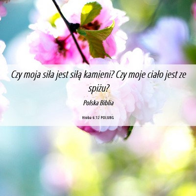 Picture 06 - Hioba 6:12 POLUBG - Czy moja siła jest siłą kamieni? Czy moje - Bible Verse Picture