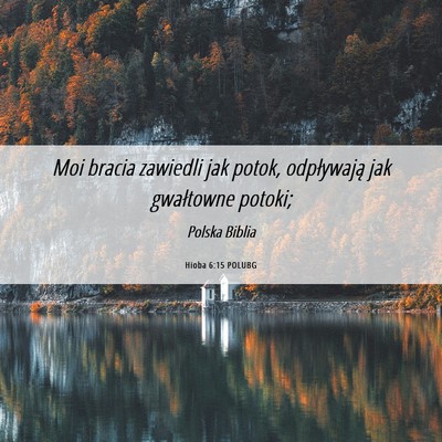 Picture 06 - Hioba 6:15 POLUBG - Moi bracia zawiedli jak potok, odpływają jak - Bible Verse Picture