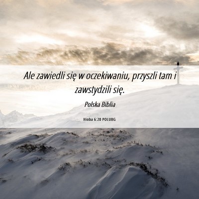 Picture 06 - Hioba 6:20 POLUBG - Ale zawiedli się w oczekiwaniu, przyszli tam i - Bible Verse Picture