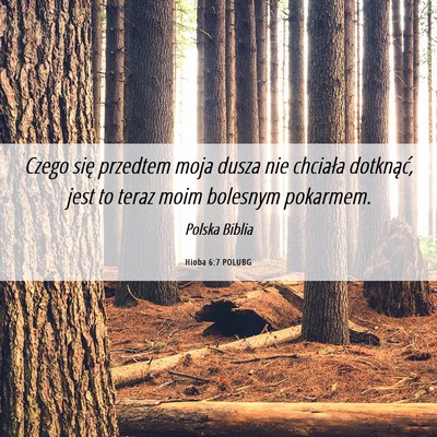 Picture 06 - Hioba 6:7 POLUBG - Czego się przedtem moja dusza nie chciała - Bible Verse Picture