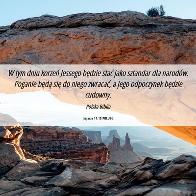Picture 06 - Izajasza 11:10 POLUBG - W tym dniu korzeń Jessego będzie stać jako - Bible Verse Picture