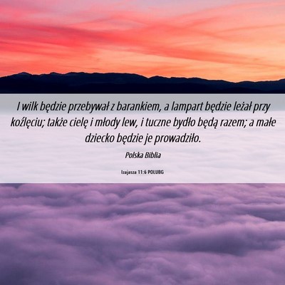Picture 06 - Izajasza 11:6 POLUBG - I wilk będzie przebywał z barankiem, a lampart - Bible Verse Picture