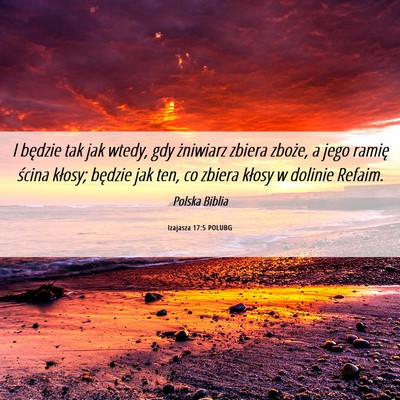 Picture 06 - Izajasza 17:5 POLUBG - I będzie tak jak wtedy, gdy żniwiarz zbiera - Bible Verse Picture