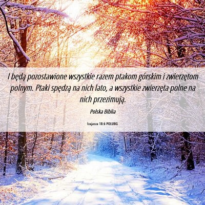 Picture 06 - Izajasza 18:6 POLUBG - I będą pozostawione wszystkie razem ptakom - Bible Verse Picture