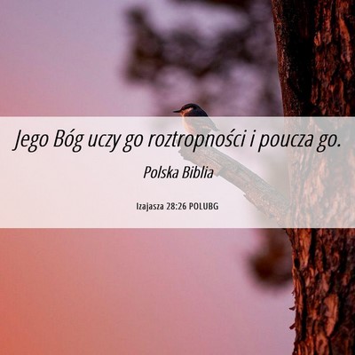 Picture 06 - Izajasza 28:26 POLUBG - Jego Bóg uczy go roztropności i poucza - Bible Verse Picture