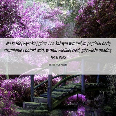 Picture 06 - Izajasza 30:25 POLUBG - Na każdej wysokiej górze i na każdym - Bible Verse Picture