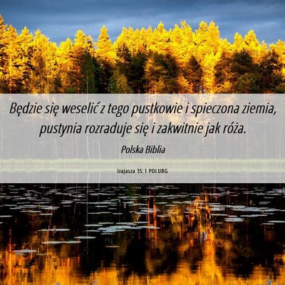 Picture 06 - Izajasza 35:1 POLUBG - Będzie się weselić z tego pustkowie i - Bible Verse Picture