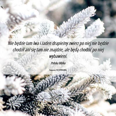 Picture 06 - Izajasza 35:9 POLUBG - Nie będzie tam lwa i żaden drapieżny zwierz po - Bible Verse Picture